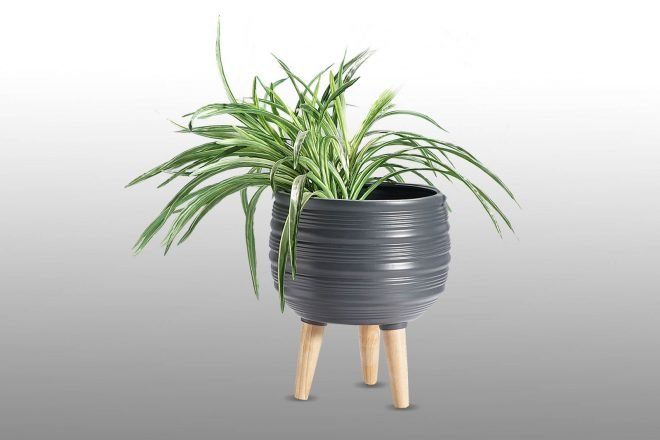 Black Vase